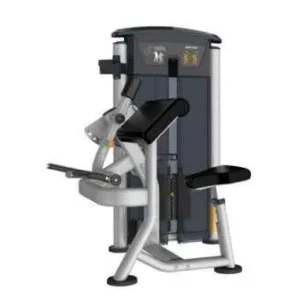 Perform Series, Bicep Curl