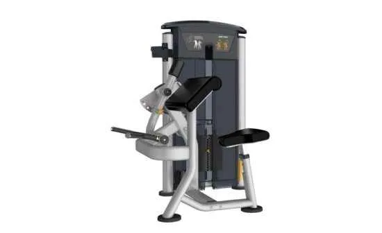 Perform Series, Bicep Curl 1 Perform Series, Bicep Curl
